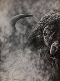 Buffalo Print By Gareth Putter 84cm x 118cm