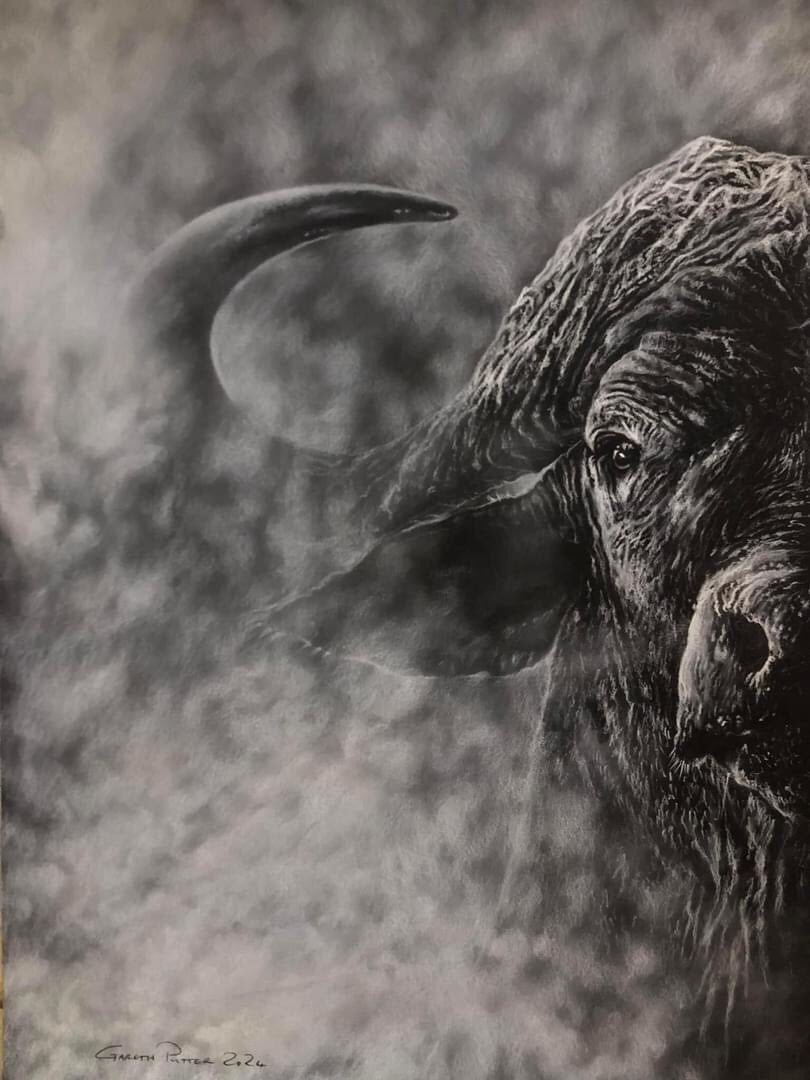 Buffalo Print By Gareth Putter 84cm x 118cm
