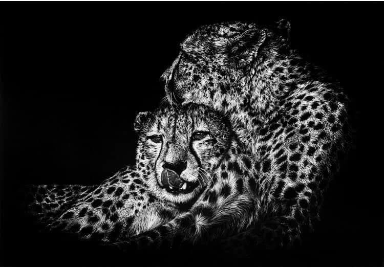 Cheetah Brothers Print - By Gareth Putter - 70cm x 50cm