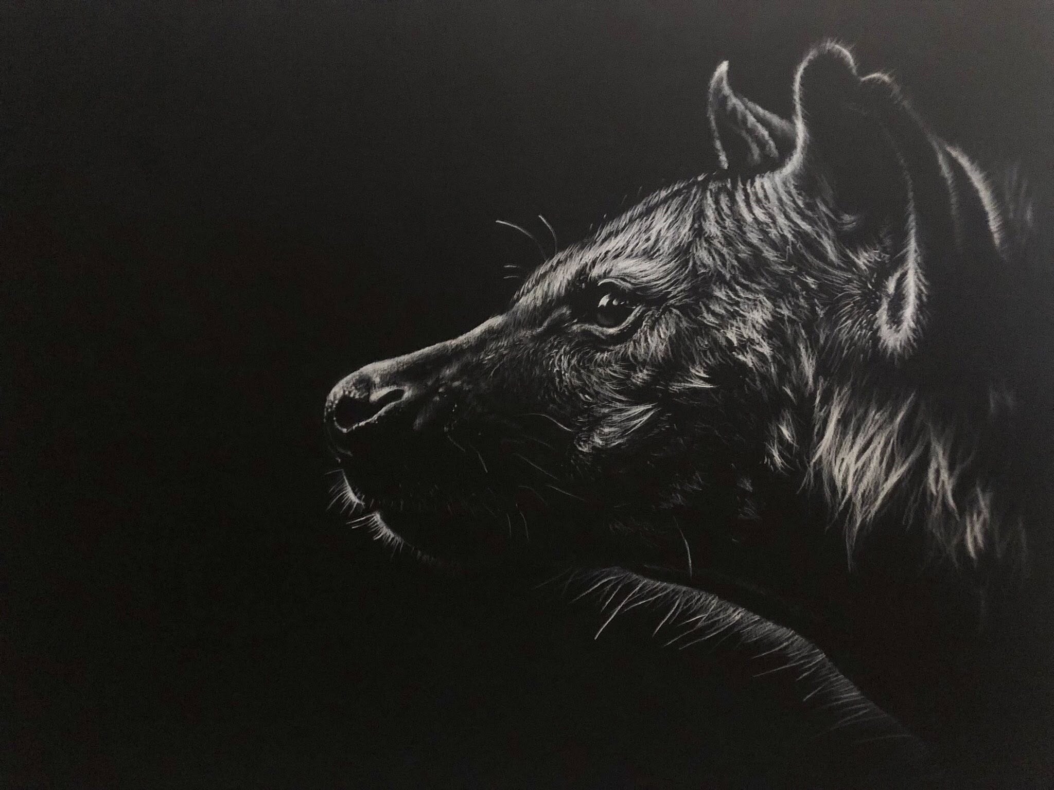 Hyena Print By Gareth Putter 50cm x 70cm
