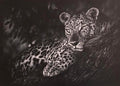Leopard Print - By Gareth Putter 70cm x 50cm