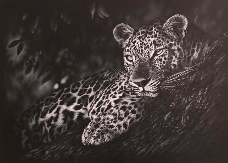 Leopard Print - By Gareth Putter 70cm x 50cm