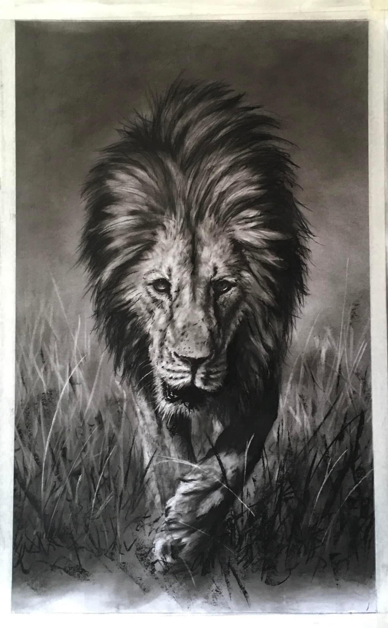 Lion Print - By Gareth Putter 700mm x 425mm