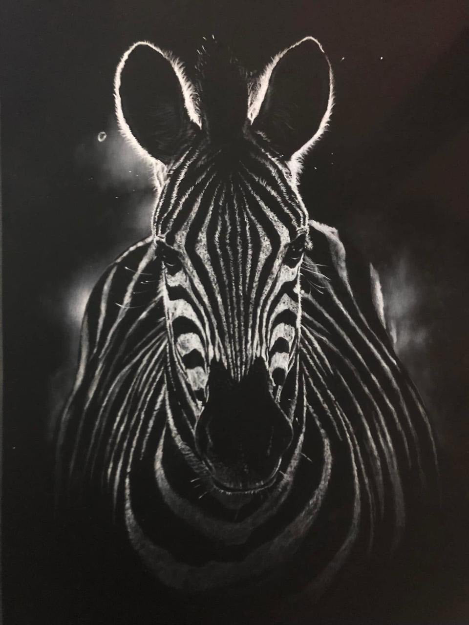 Zebra Print By Gareth Putter 84cm x 60cm